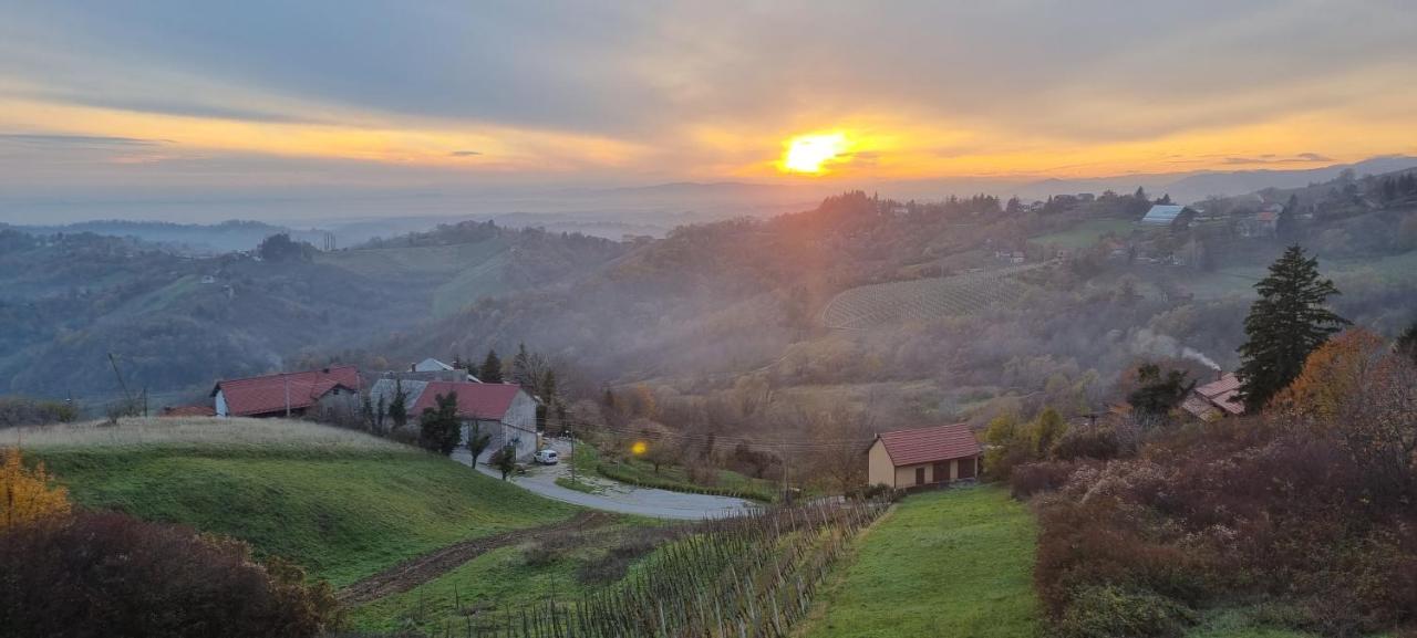 Wine Panorama House Villa Jastrebarsko Luaran gambar