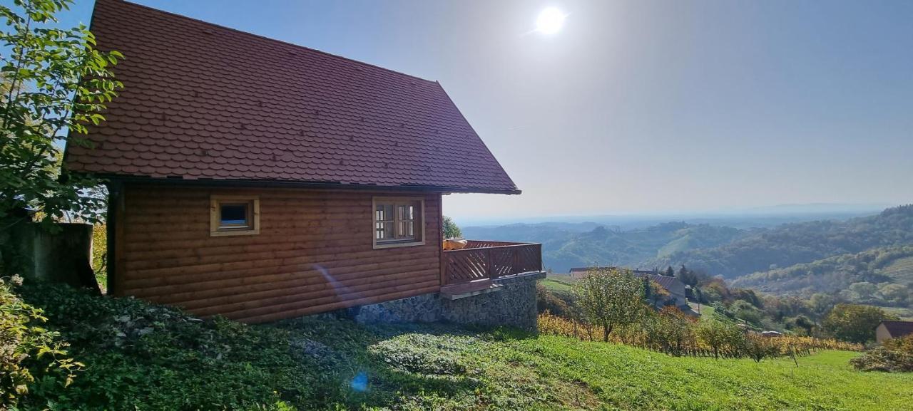 Wine Panorama House Villa Jastrebarsko Luaran gambar