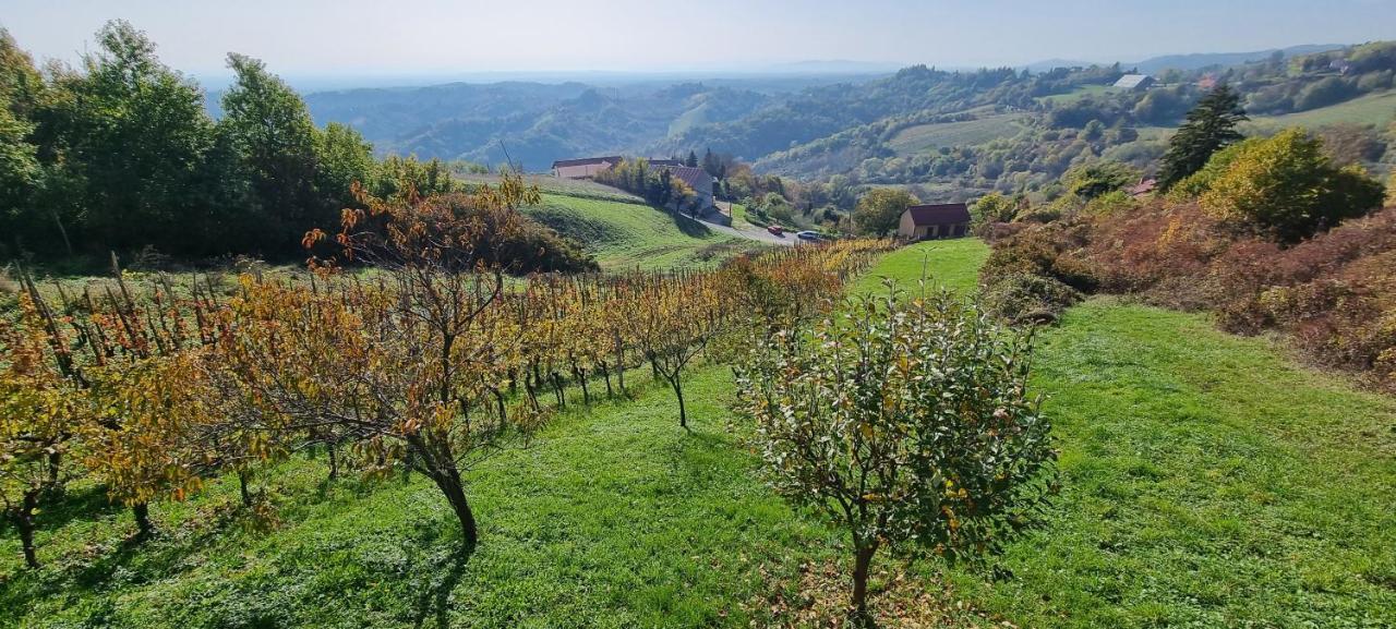 Wine Panorama House Villa Jastrebarsko Luaran gambar